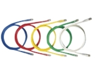 Panduit NetKey patch cable - 1.5 m - orange