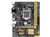 ASUS H81M-P PLUS - motherboard - micro ATX - LGA1150 Socket - H81