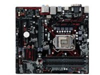 ASUS PRIME B250M-PLUS - motherboard - micro ATX - LGA1151 Socket - B250