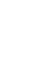 Apple Lock Icon