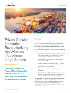 White Paper - Private Cellular Networks: Revolutionizing the Wireless LAN Across Large Spaces Image