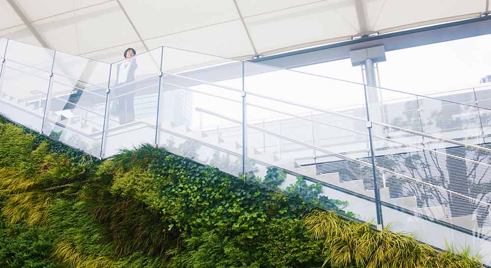 A person standing on a modern, glass balcony above a lush green wall of plants.