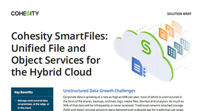 Solution Brief: File and Object Services for the Hybrid Cloud thumbnail