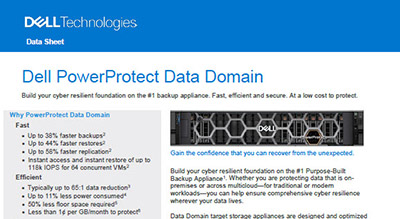 Dell PowerProtect Data Domain thumbnail