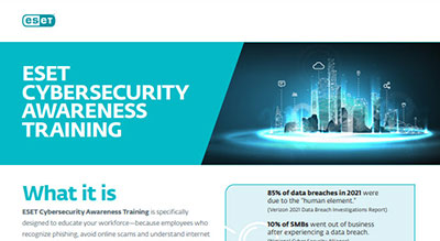 Cybersecurity awareness training thumbnail