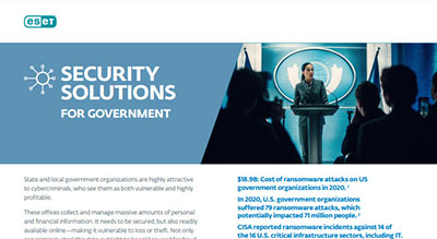 Security solutions for state and local government thumbnail