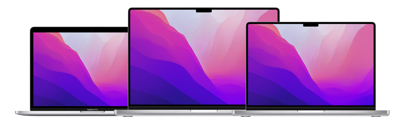 Multi-Products Apple