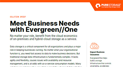 Evergreen//One™ for AI thumbnail