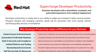 Developer productivity through platform engineering thumbnail