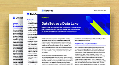 DataSet as a Data Lake thumbnail