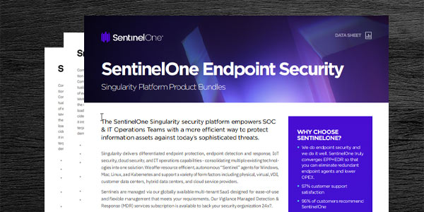 Endpoint Security PDF Thumbnail 