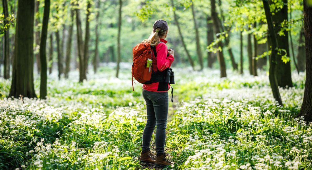 A person with a red backpack standing in a forest surrounded by white flowers, wearing a cap, grey pants, and brown boots.