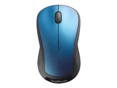 computer mouse