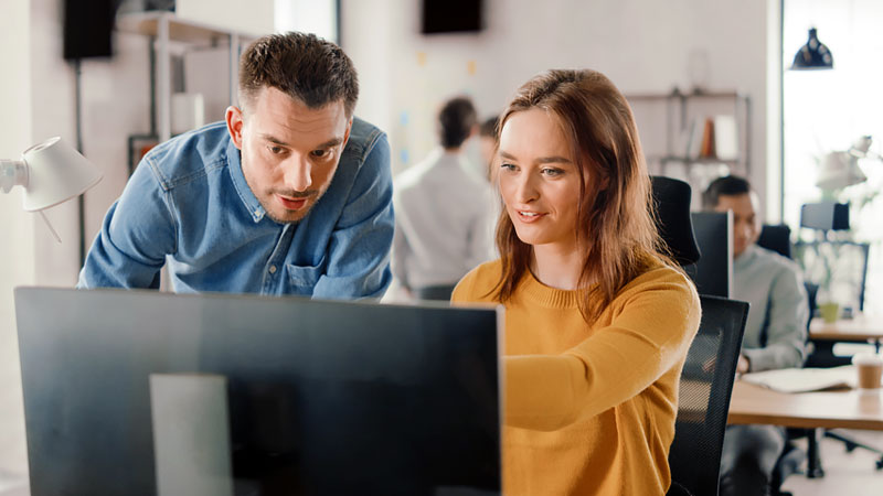 Two people overview information together on a desktop monitor