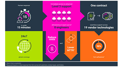 Multivendor platform support infographic thumbnail