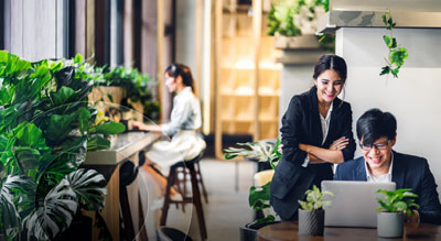 Three people work on computers in an office overflowing in leaves