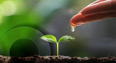 A hand holding water droplets that fall onto the soil, nurturing a plant's growth