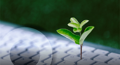 A small green plant growing through the keys of a white keyboard