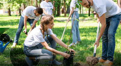 A diverse group of individuals planting young trees together in a sunny park, promoting environmental sustainability