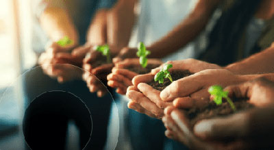Group of individuals holding small plants in their hands