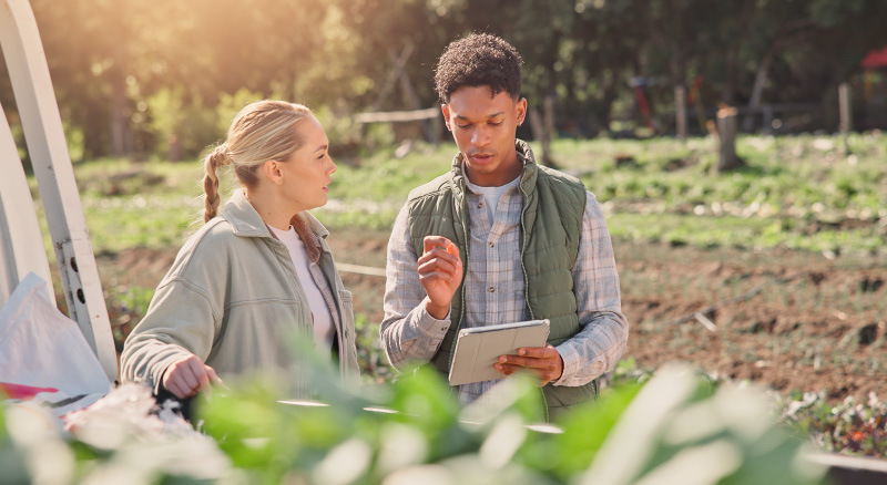 Two people converse in a sunlit field. One holds a tablet, gesturing as they talk. Both appear engaged, with greenery and trees in the background.