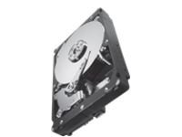 Seagate Constellation ES.2 ST33000650SS
