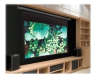 Draper Premier - Projection screen