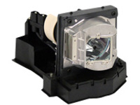 InFocus - Projector lamp