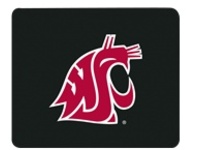 Centon Collegiate Washington State University Edition
