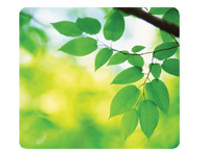 Fellowes Recycled Mouse Pad Leaves