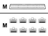 Cisco - Router cable (DTE)