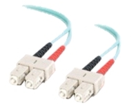 VS 5M SC SC 10G DPX PVC
