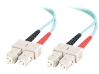 VS 3M SC SC 10G DPX PVC