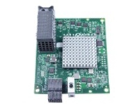 Lenovo Flex System FC3172