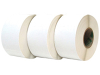 Wasp - Polyester - Roll (1.27 cm x 47.6 m) (1 roll(s) labels