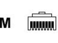 Panduit Pan-Plug - Network connector