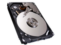 Seagate Enterprise Performance 10K HDD ST600MM0006