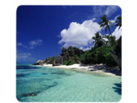 Allsop Naturesmart MousePad D-Argent Beach
