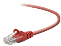 Belkin - Patch cable