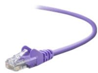 Belkin - Crossover cable