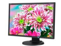 NEC MultiSync E223W-BK