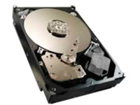 Seagate Video 3.5 HDD ST500VM000