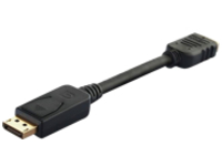 4XEM - Adapter - DisplayPort male to HDMI female
