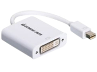 IOGEAR - DisplayPort adapter