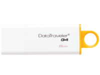 Kingston DataTraveler G4