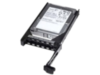 DELL 342-5286 3TB 7.2K 6.0 GBPS NEAR LINE SATA HDD F238F