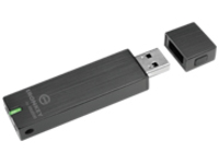 Imation Basic D250 2GB Secure Drive Powered by IronKey