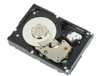 Dell - Hard drive - 300 GB