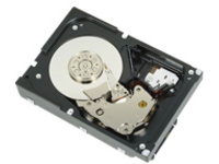 Dell - Hard drive - 4 TB
