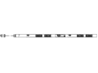Raritan Dominion PX PX3-5460V-C5